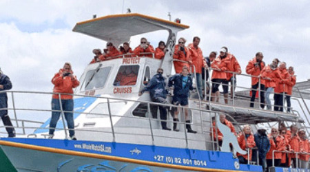 Whale Watching & Marine Safari Gansbaai
